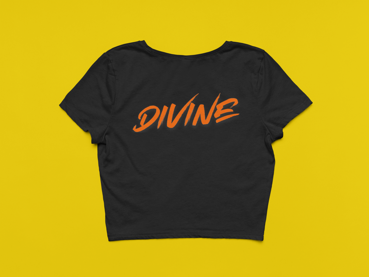 DIVINE:  Crop Top