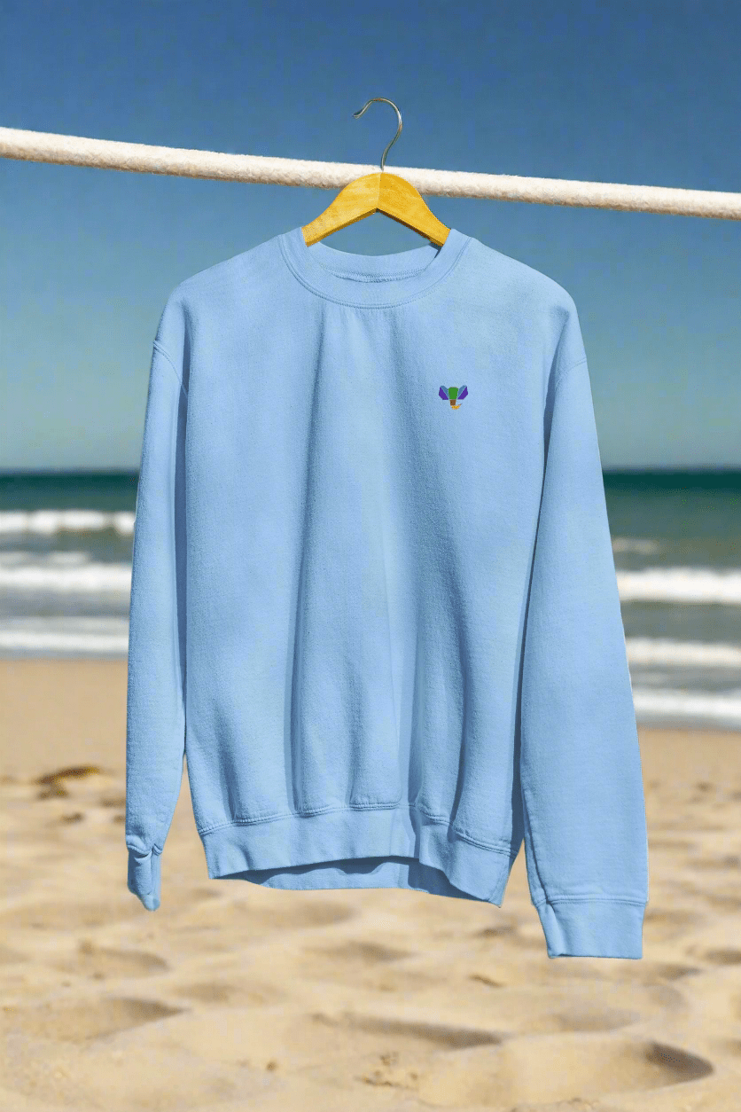 Urban India comfortable baby blue sweatshirt for casual wear